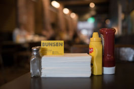 Bunsen
